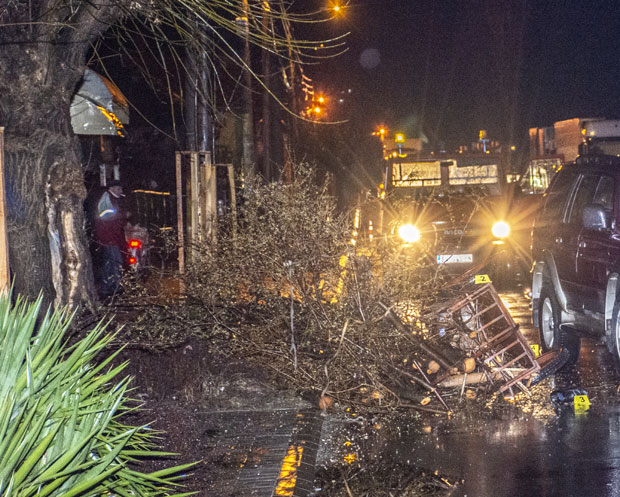 После удара возила поклопила га дрва: Погинуо познати зајечарски књижевник